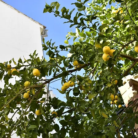 Casa Calma Holiday home *