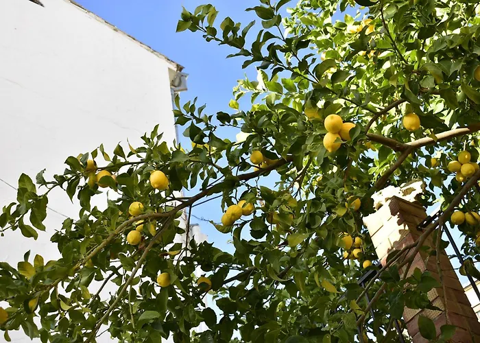 Casa Calma 度假居 *